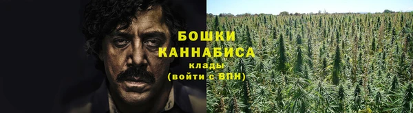 дмт Абаза