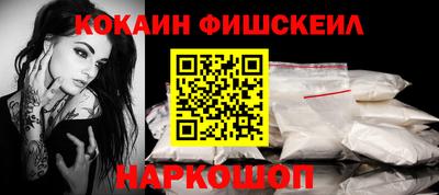 индика Камышлов