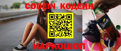 индика Камышлов