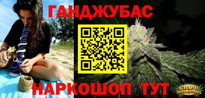 индика Камышлов