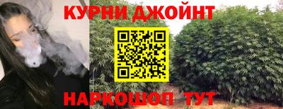индика Камышлов