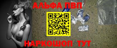 индика Камышлов
