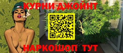 индика Камышлов