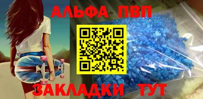 индика Камышлов