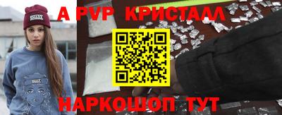 индика Камышлов