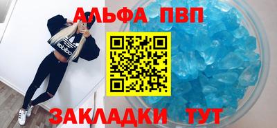 индика Камышлов