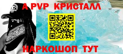 индика Камышлов