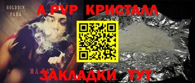 индика Камышлов