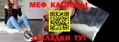 индика Камышлов