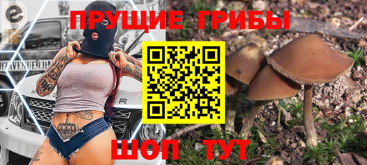 Псилоцибиновые грибы мицелий Усолье-Сибирское